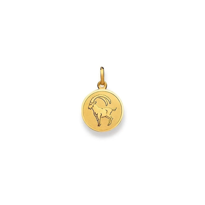 Capricorn zodiac pendant